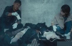 《棋士》全集下载在线看百度云网盘高清资源「BD1080P夸克网盘-MP4」缩略图