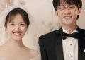 央视新闻真给力，白鹿研讨会让人笑不出来！缩略图