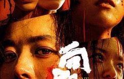 《向阳花》影评：这正义也太鲁莽了吧。缩略图