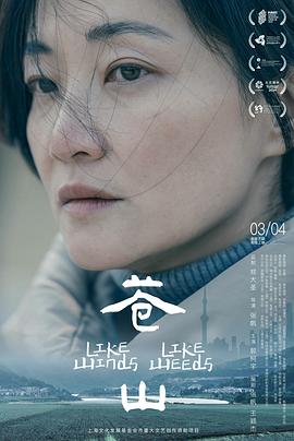 《苍山》影评：拍这电影，思路该怎么理清？