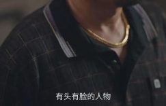 《利剑玫瑰》全集百度云网盘完整阿里云盘资源下载缩略图