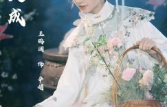 《佳偶天成》百度网盘下载高清无水印阿里云盘【HD1080P-MP4】在线分享缩略图