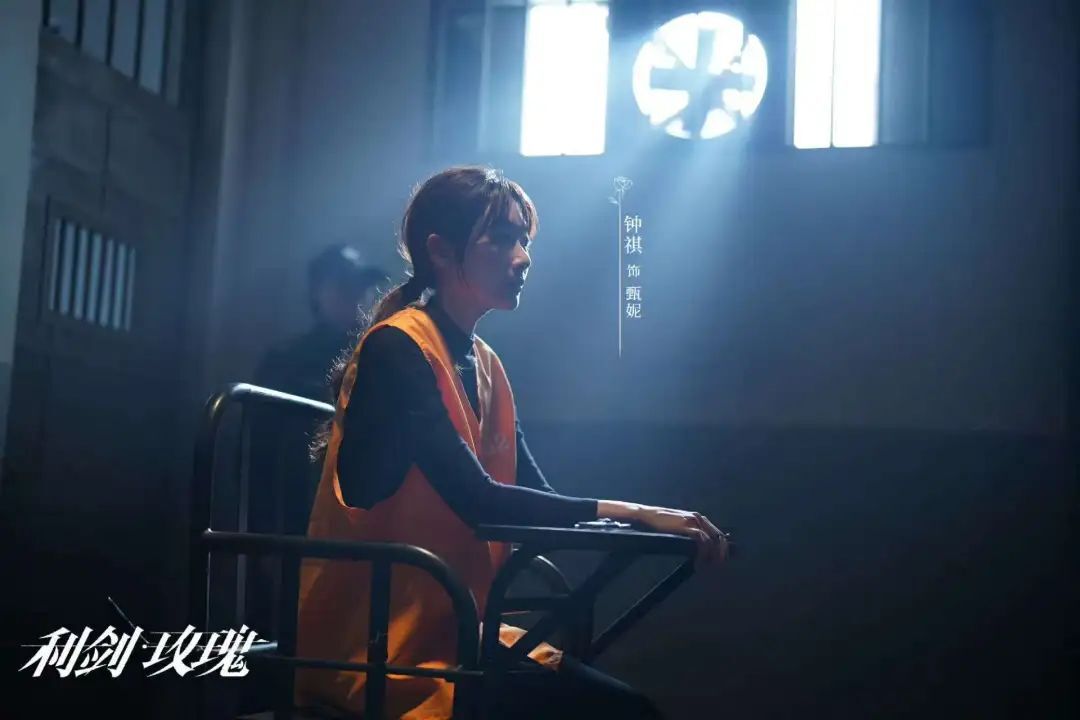 《利剑玫瑰》全集百度云【HD1080p高清版本】Mp4资源下载免费
