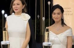 昔日影后沦落景区商演：翁虹与香江美人们的命运岔路缩略图