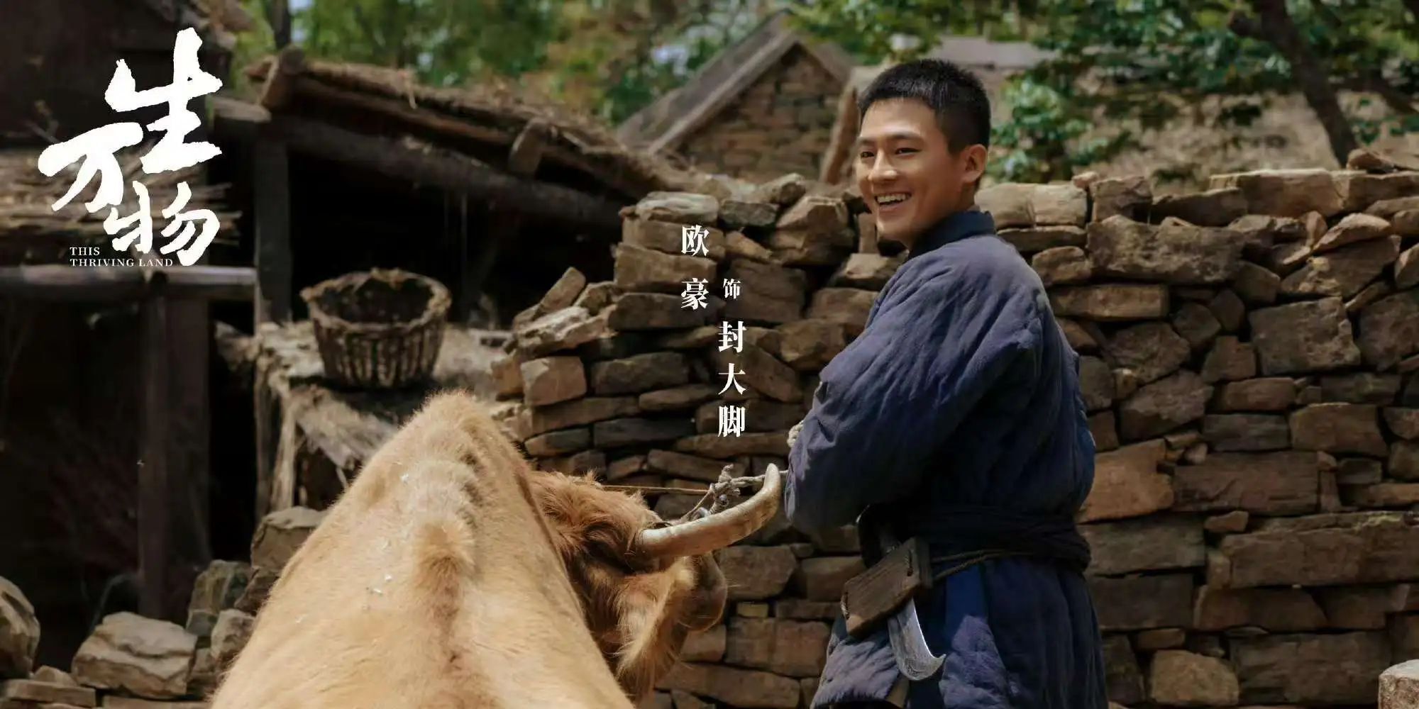 《万物生》迅雷BT资源下载超高清[HD1080P]免费下载