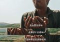 《生万物》全集百度云资源下载（HD1080P资源下载）缩略图