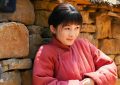 《万物生》百度云网盘最新电视剧免费观看阿里云盘高清在线播放缩略图