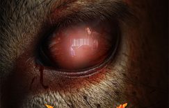 《小鹿斑比：清算》百度云网盘迅雷BT资源下载4K蓝光[HD1080P超清]缩略图