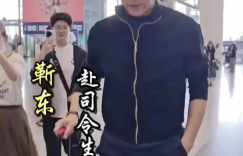 烟火人间与璀璨星光：马伊琍的双面49岁，文章沉默现身背后的体面人生缩略图