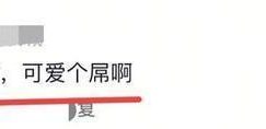 相差14岁的真爱！萧敬腾路边摊为爱妻下厨，15年爱情长跑打破世俗偏见缩略图
