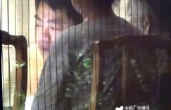 一顿火锅里的深情：殷桃与家人的烟火幸福缩略图