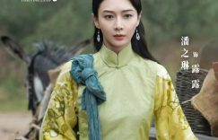 露露为爱奔赴天牛庙，赌场风波背后的乱世情缘与人性救赎缩略图