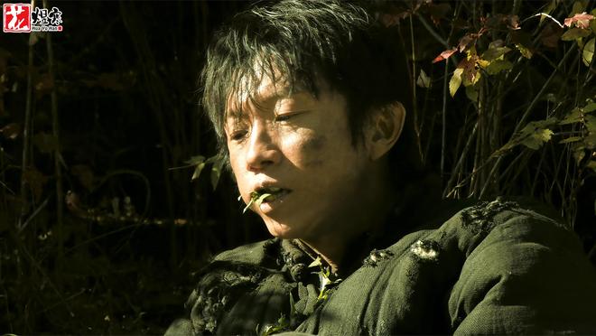 《归队》全集百度云资源下载「HD1080p1280pMP4」云网盘链接