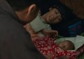 《万物生》迅雷下载百度网盘【HD1280P/MP4免费中字阿里云盘】资源下载缩略图