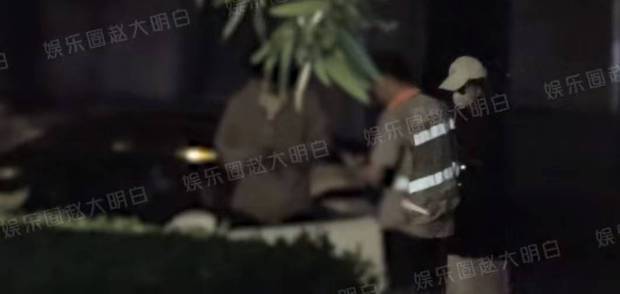 赵昭仪被拍与男子深夜同归公寓，温情吻别画面曝光
