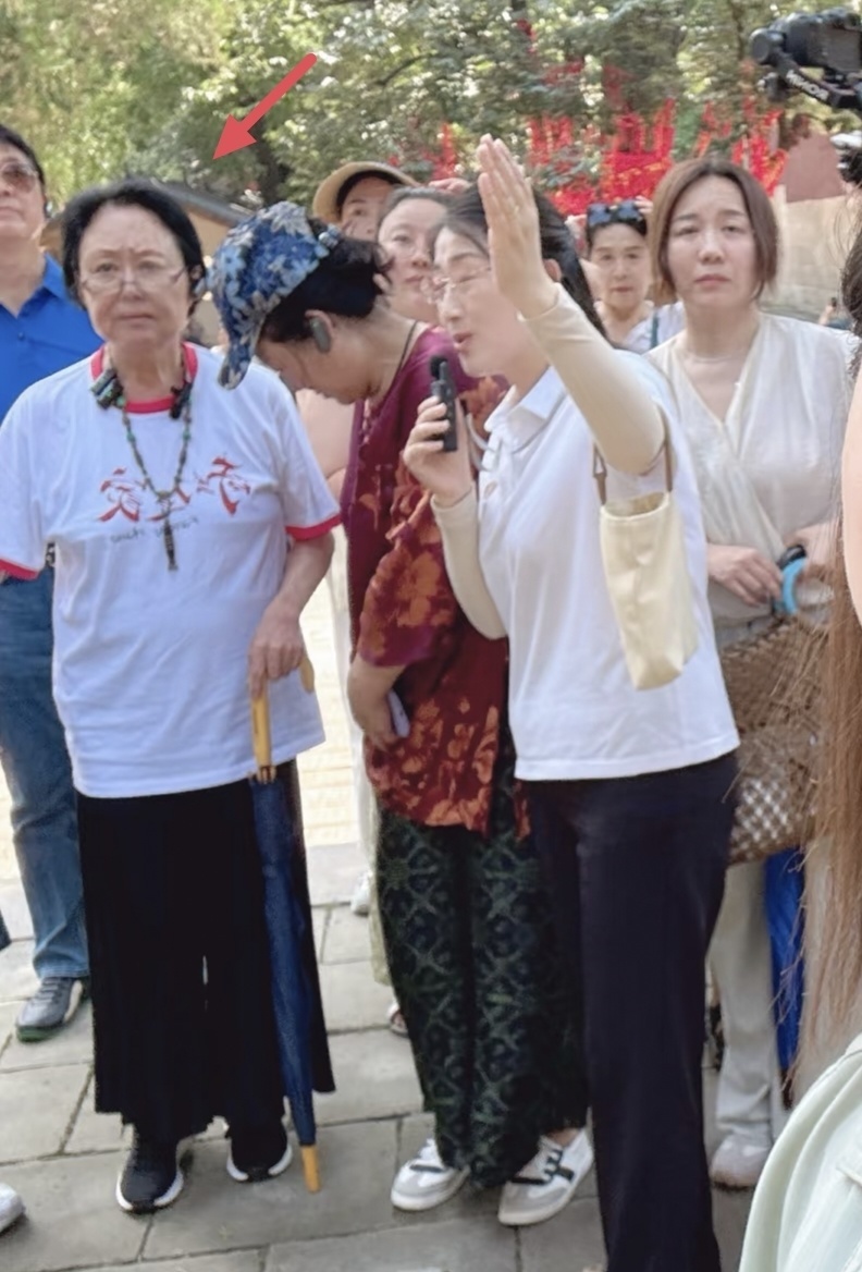 75岁斯琴高娃拄拐去灵岩寺上香，看着真显老