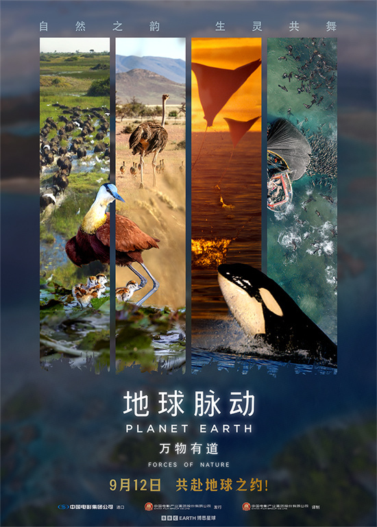 《地球脉动》迅雷资源下载电影免费下载高清百度云网盘资源下载