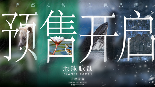 《地球脉动》迅雷资源下载电影免费下载高清百度云网盘资源下载
