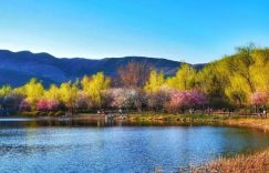 相识是缘1：杜成在蛰伏期的日子，既无聊又盼着啥缩略图