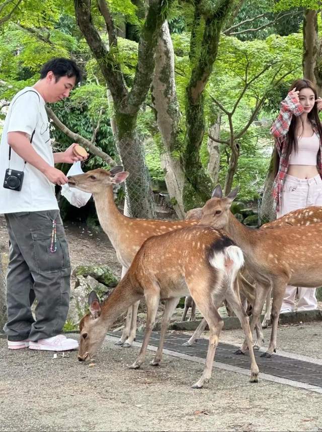 王思聪日本赌钱被拍，一脸享受，该不会真要留在那儿养老？