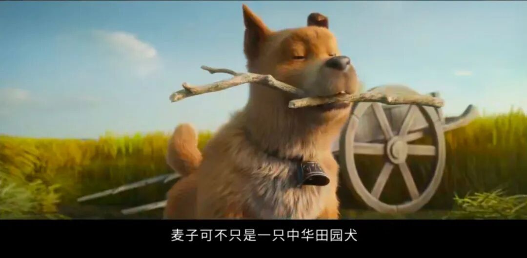 《三国》百度云网盘【免费1080P资源下载】资源下载