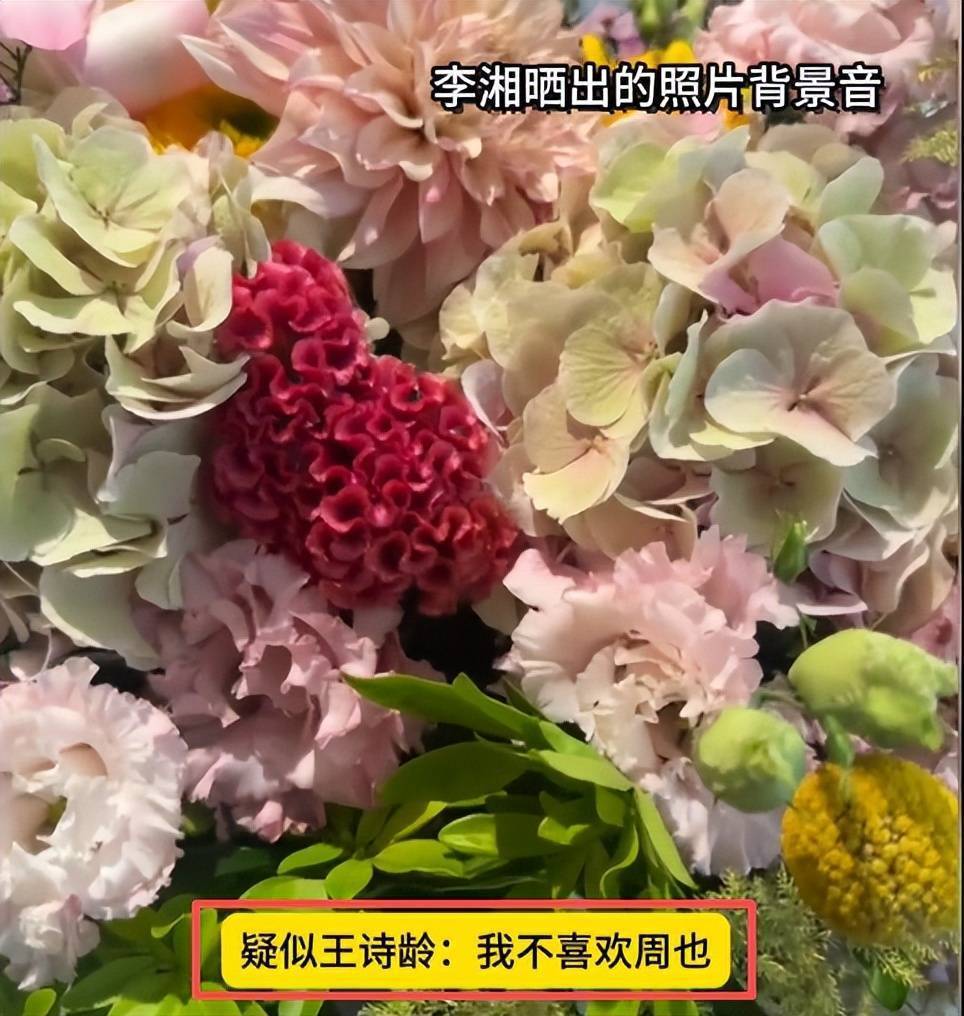 李湘晒照手滑内涵周也，发现不对立马删图