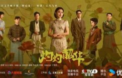 《灼灼韶华》全集百度云网盘完整下载【HD】高清阿里云盘免费资源缩略图